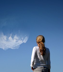 Salidas profesionales en Organismos Internacionales de Ayuda al Desarrollo.